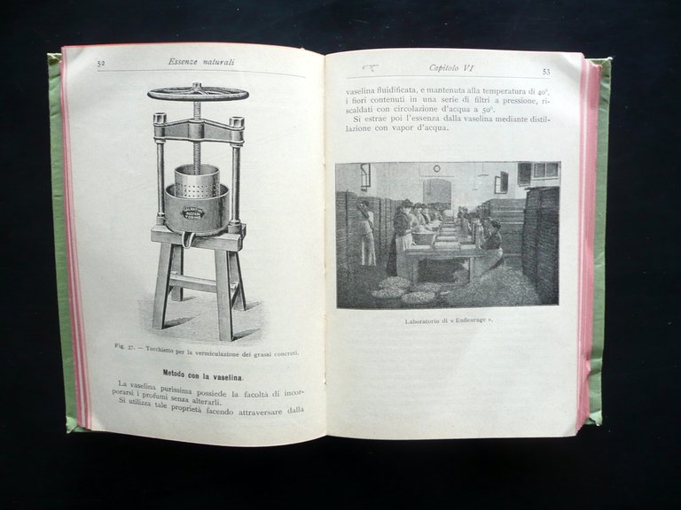Le Essenze Naturali Estrazione Caratteri Analisi Calisto Craveri Hoepli 1913