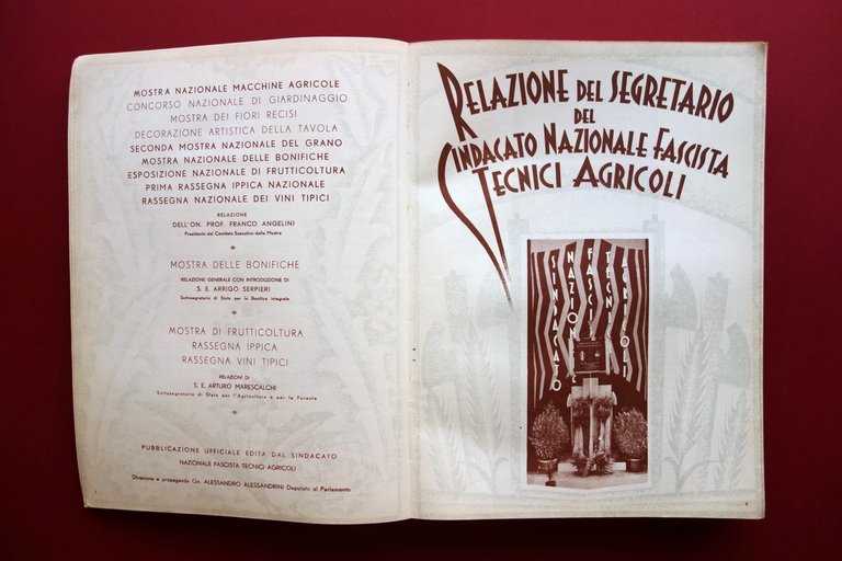 Le Manifestazioni Agricole del Decennale Roma 1933 Vini Tipici Martinelli … | Immagine Gallery 4