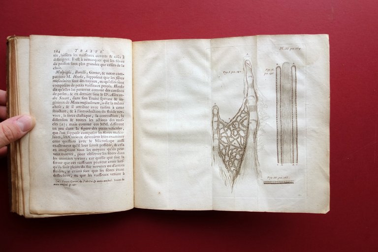 Le Microscope a la PortÈe de Tout le Monde Henry …