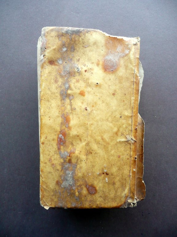 Le Novene per Anima Divota Principali Feste di Nostro Signore … | Immagine Gallery 3