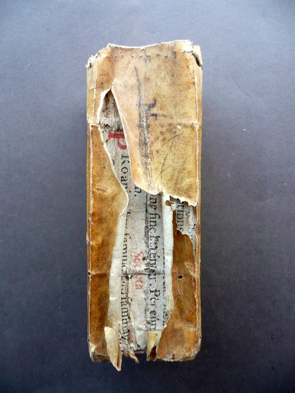 Le Novene per Anima Divota Principali Feste di Nostro Signore … | Immagine Gallery 4