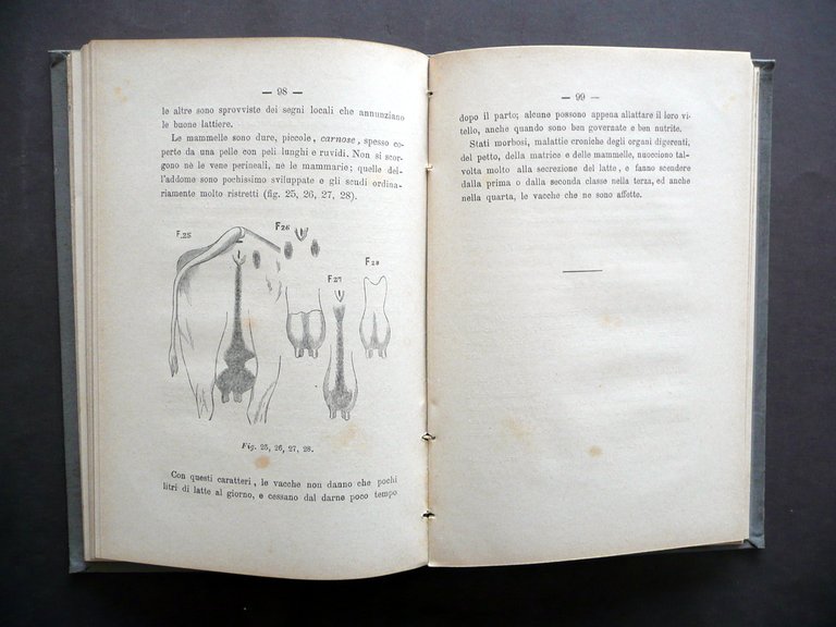 Le Vacche da Latte Magne Cassella Manuali Pierro Napoli 1896 … | Immagine Gallery 5