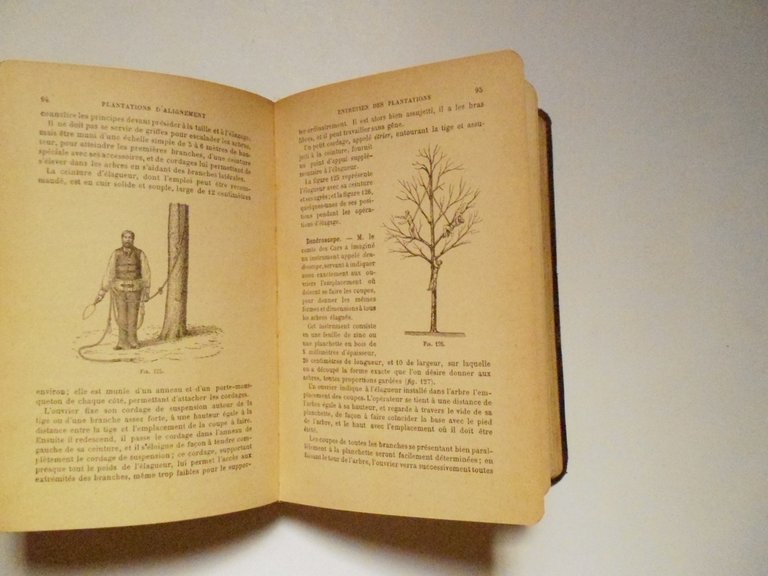 Lefebvre Plantations d'Alignement Promenades Parcs et Jardins Publics 1897 | Immagine Gallery 2