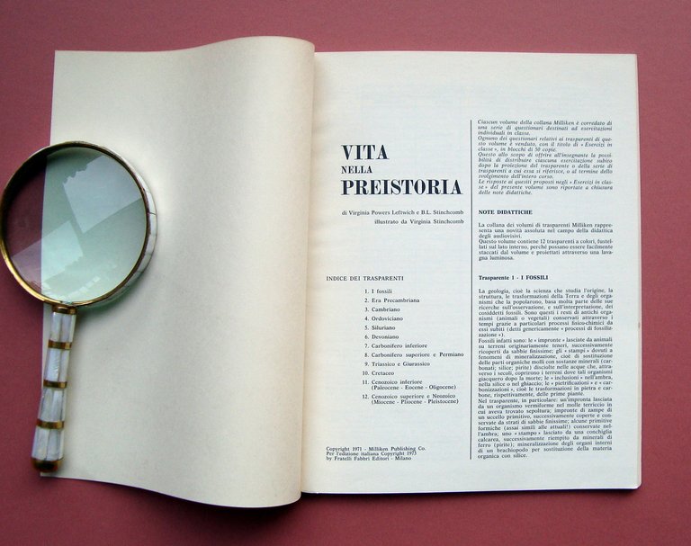 Leftwich Vita nella Preistoria 12 trasparenti a colori didattica esercizi …