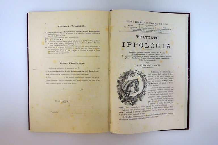 Legislazione e Giurisprudenza Veterinaria Codice Veterinario Bassi Torino 1896 | Immagine Gallery 5