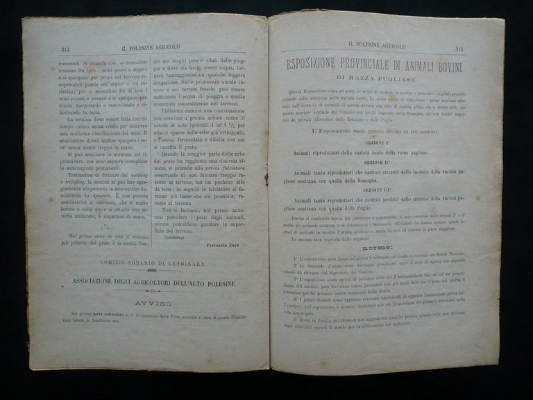 Lendinara Comizio Agrario Esposizione Occhiobello Il Polesine Agricolo 15/7/1896