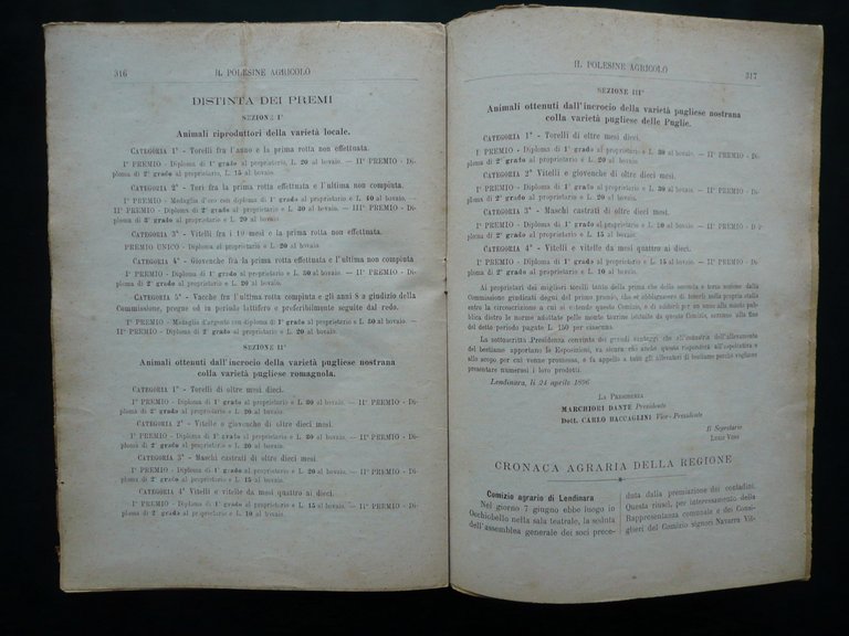 Lendinara Comizio Agrario Esposizione Occhiobello Il Polesine Agricolo 15/7/1896