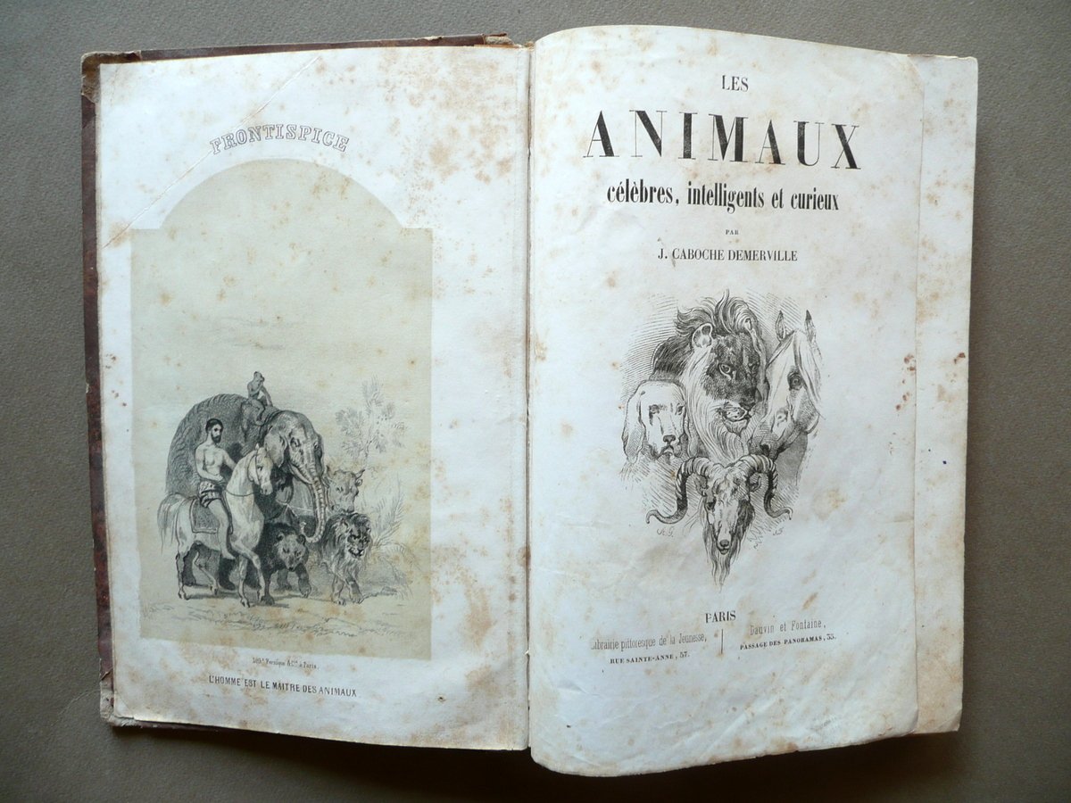 Les Animaux Celebres Intelligents et Curieux Caboche Demerville Paris Fine … | Immagine principale