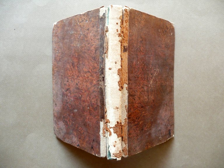 Les Animaux Celebres Intelligents et Curieux Caboche Demerville Paris Fine … | Immagine Gallery 2