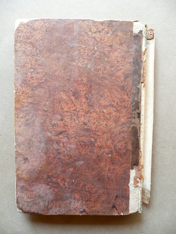 Les Animaux Celebres Intelligents et Curieux Caboche Demerville Paris Fine … | Immagine Gallery 3