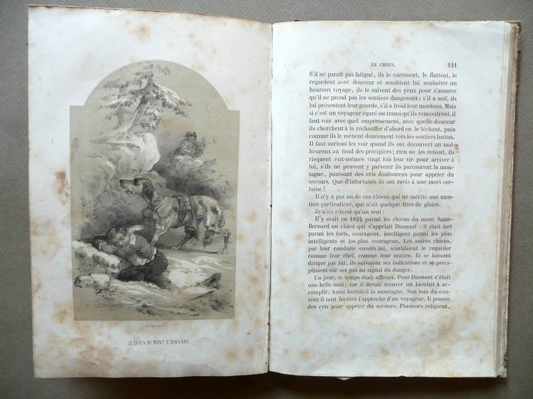 Les Animaux Celebres Intelligents et Curieux Caboche Demerville Paris Fine … | Immagine Gallery 4