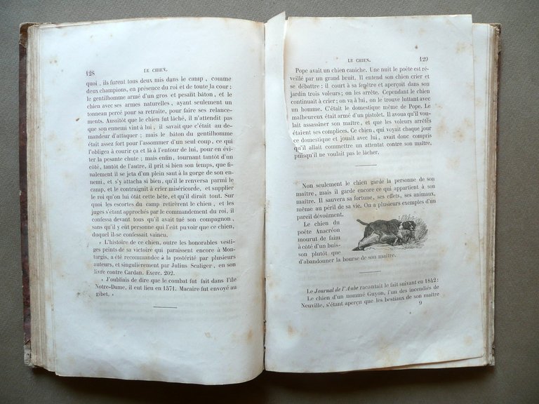 Les Animaux Celebres Intelligents et Curieux Caboche Demerville Paris Fine … | Immagine Gallery 5