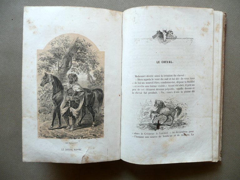 Les Animaux Celebres Intelligents et Curieux Caboche Demerville Paris Fine … | Immagine Gallery 6