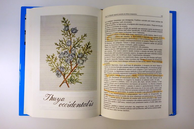 LEZIONI DI OMEOPATIA INTEGRATA