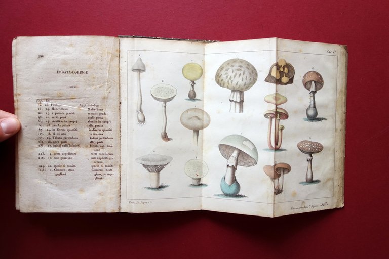 Lezioni Popolari di Igiene Rurale e Privata A. Sella Fecia … | Immagine Gallery 4