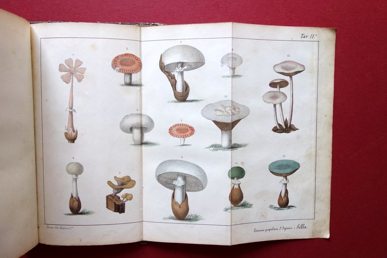 Lezioni Popolari di Igiene Rurale e Privata A. Sella Fecia … | Immagine Gallery 5