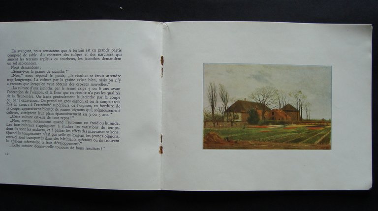 Libretto Turistico Harlem et Les Champs De Fleurs pimi 900