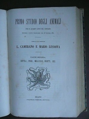 Libri figurati'800 Scienze Animali Piante Pesci Rettili Lessona Camerano 1882