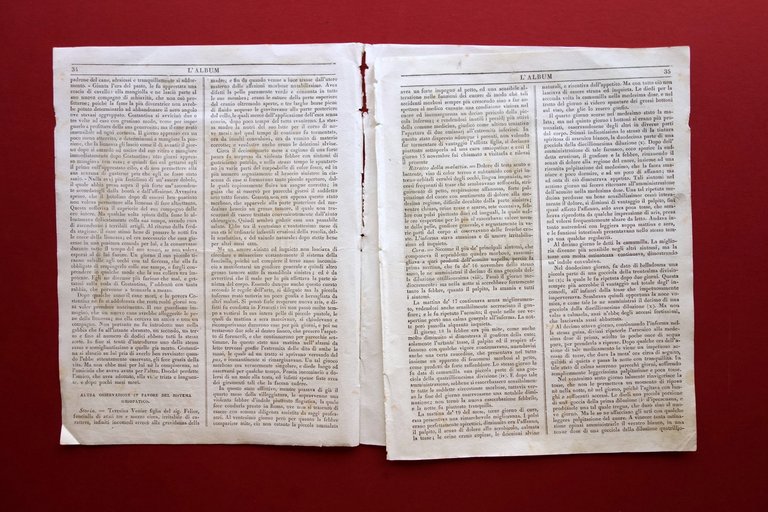 Liuzzi Osservazione Sistema Omeopatico Omeopatia L'Album Roma Anno IV 1837 | Immagine Gallery 2