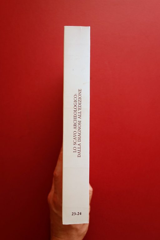 Lo Scavo Archeologico dalla Diagnosi all'Edizione all'Insegna del Giglio 1990 | Immagine Gallery 2