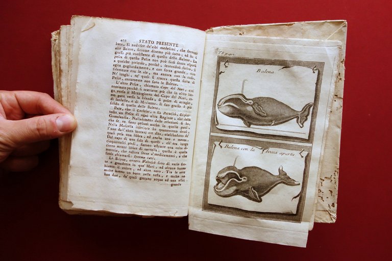 Lo Stato Presente di Tutti i Paesi e Popoli del …