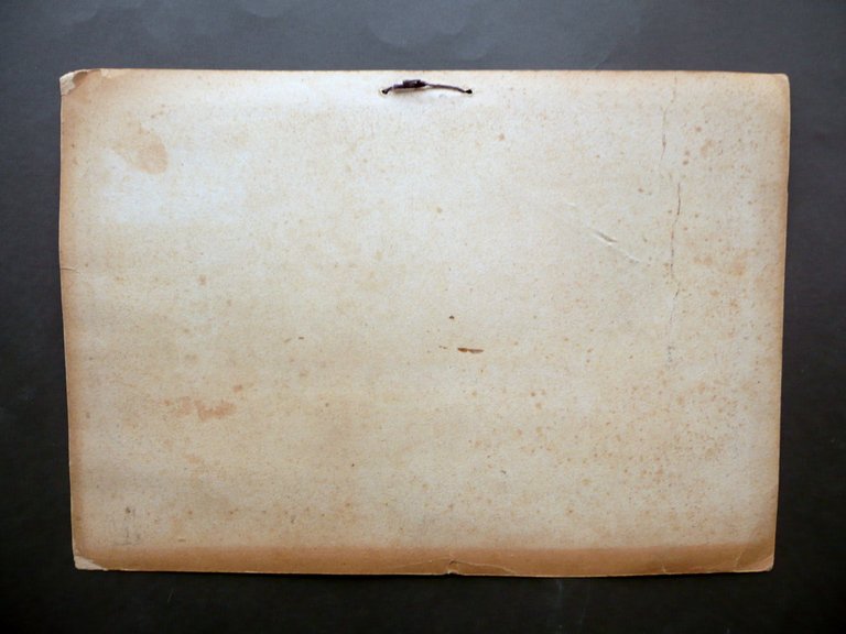 Locandina Credito Piemontese Societ‡ Anonima Torino F. Torta Anni '20 …