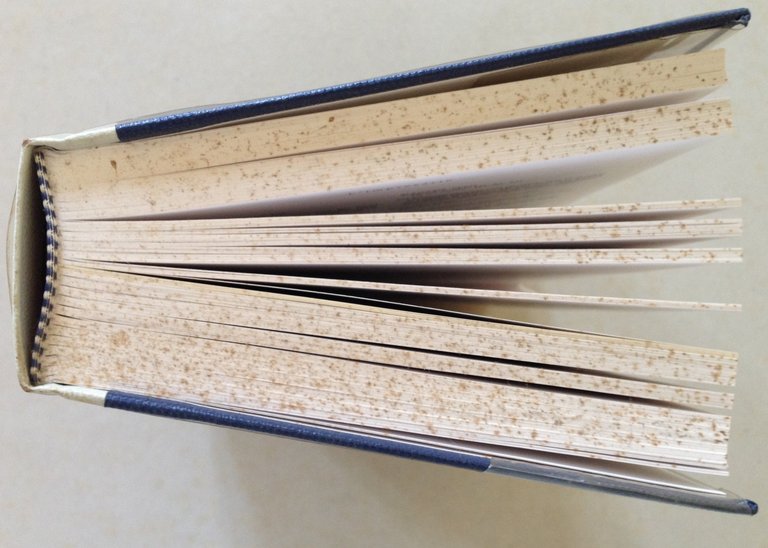 M. Beghelli a cura di Tutti i Libretti di Mozart …