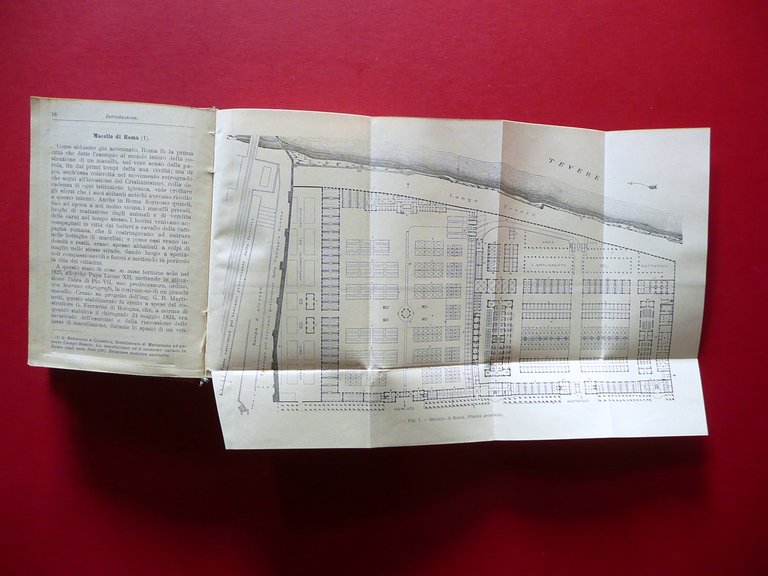 Macelli Moderni P. A. Pesce Hoepli Milano 1910 1∞Edizione