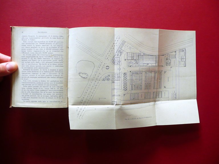 Macelli Moderni P. A. Pesce Hoepli Milano 1910 1∞Edizione