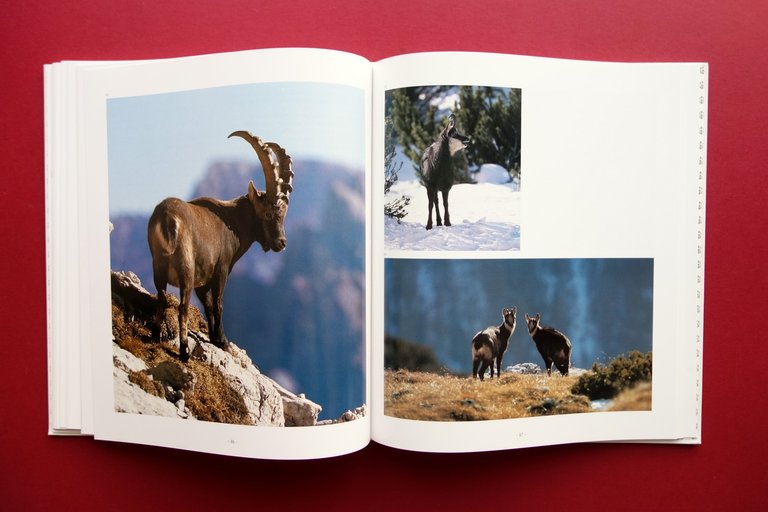 Magia delle Dolomiti Album Fotografico Ghedina e Tassotti Bassano 1991 …