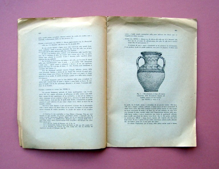 Malavolti F. Tombe Etrusche Fornace San Cesario 1942 Firenze Tip.Classica