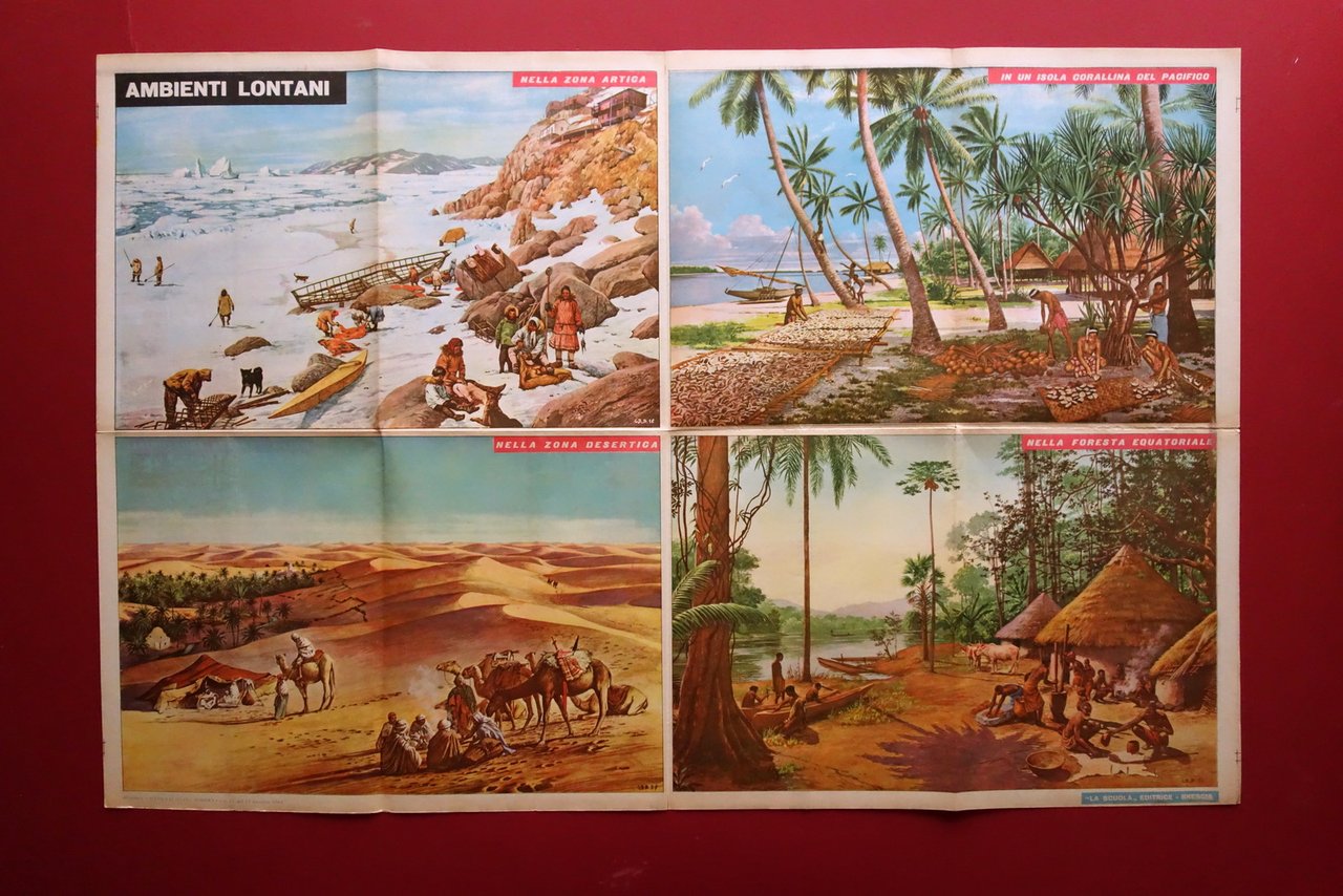 Manifesto a Colori Ambienti Lontani Artico Deserto La Scuola Brescia … | Immagine principale