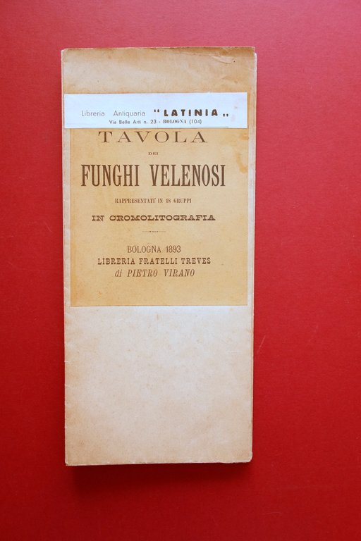 Manifesto Grande Tavola Cromolitografica Funghi Velenosi Treves Bologna 1893