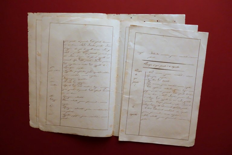 Manoscritto Analisi Grammaticale L. Bulgarelli 1864 Calligrafia Grammatica