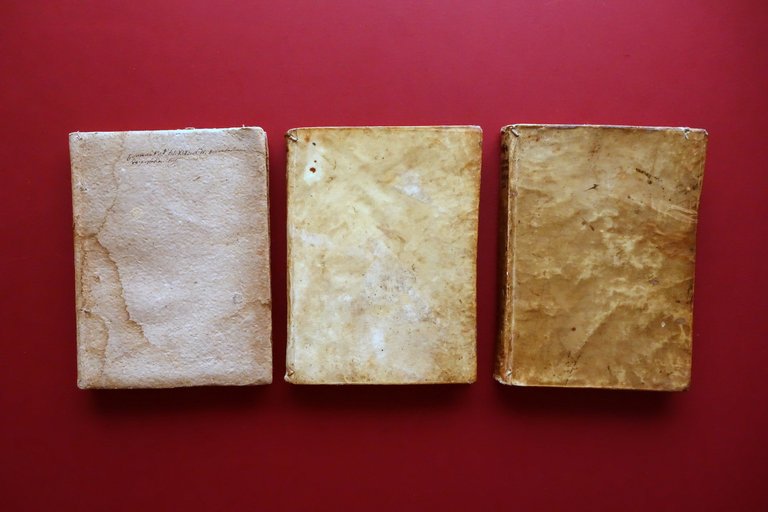 Manoscritto Canonicarum Institutionum Libri IV Diritto Canonico 1735-36 3 Volumi | Immagine Gallery 3