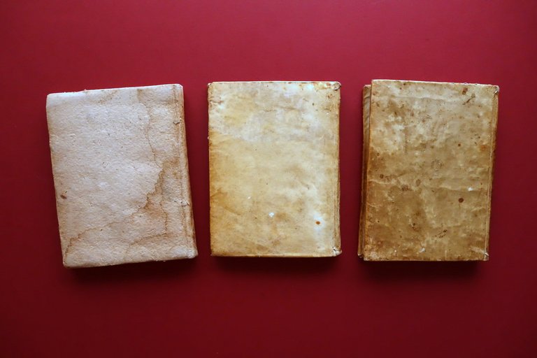 Manoscritto Canonicarum Institutionum Libri IV Diritto Canonico 1735-36 3 Volumi | Immagine Gallery 4