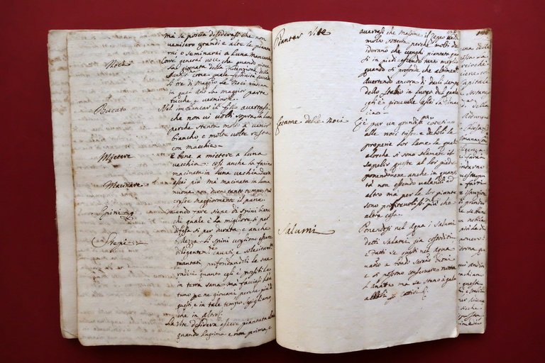 Manoscritto Regole Fondamentali alla Universale Agricoltura Modena 1747 | Immagine Gallery 13