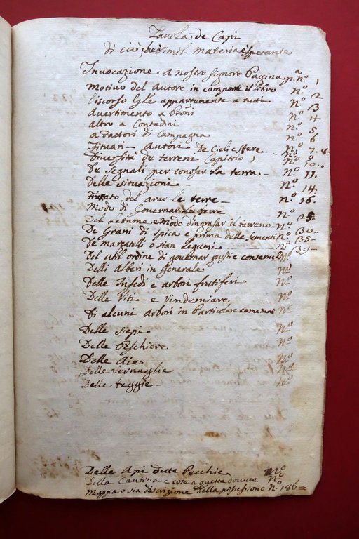 Manoscritto Regole Fondamentali alla Universale Agricoltura Modena 1747 | Immagine Gallery 4