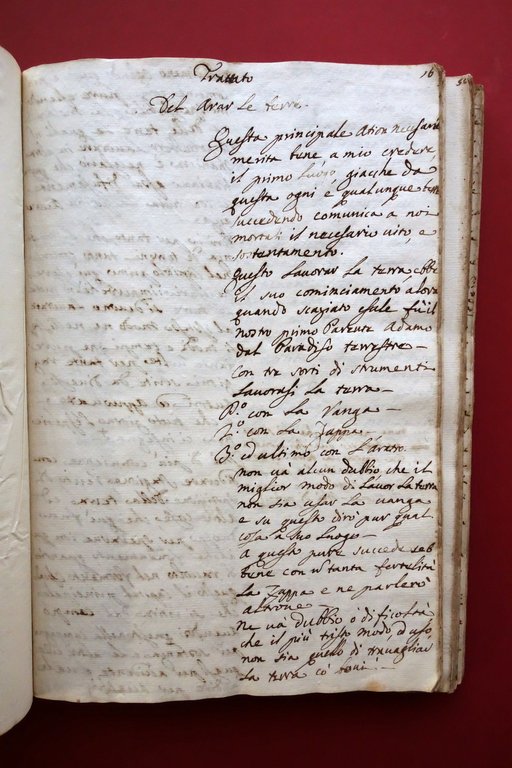 Manoscritto Regole Fondamentali alla Universale Agricoltura Modena 1747 | Immagine Gallery 6