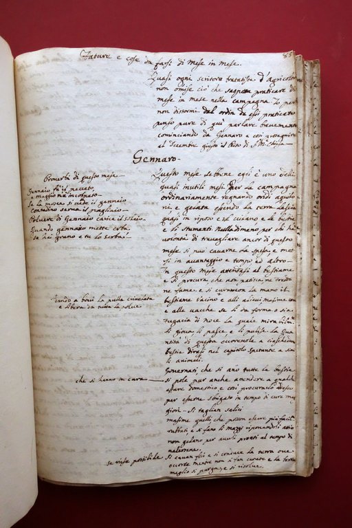 Manoscritto Regole Fondamentali alla Universale Agricoltura Modena 1747 | Immagine Gallery 8