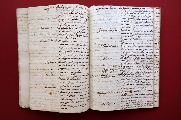 Manoscritto Regole Fondamentali alla Universale Agricoltura Modena 1747 | Immagine Gallery 9