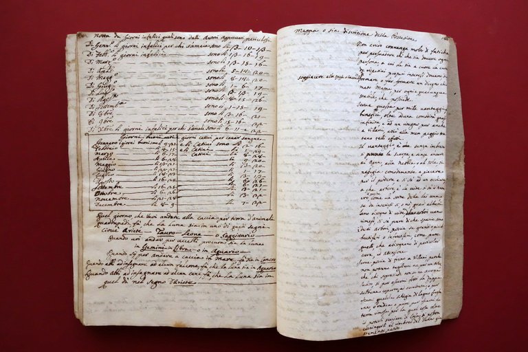 Manoscritto Regole Fondamentali alla Universale Agricoltura Modena 1747 | Immagine Gallery 10