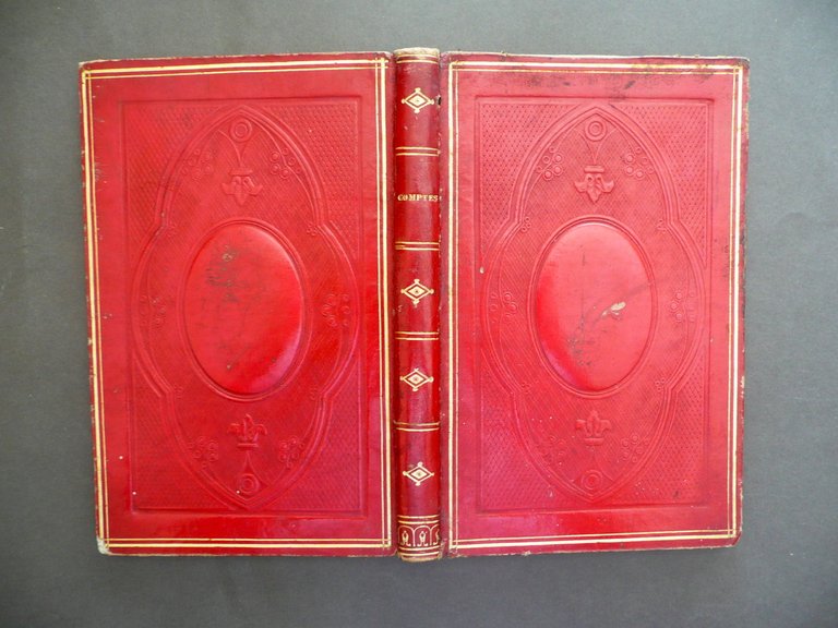 Manoscritto Similitudini Commedia Dante Gerusalemme Liberata Tasso Met‡ '800