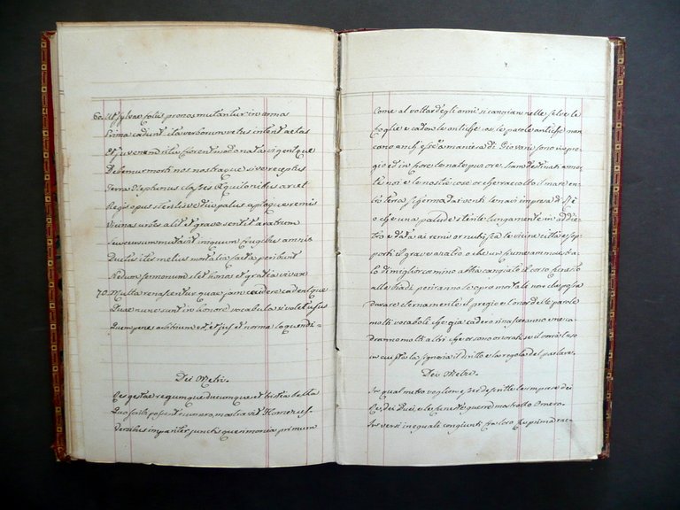 Manoscritto Similitudini Commedia Dante Gerusalemme Liberata Tasso Met‡ '800