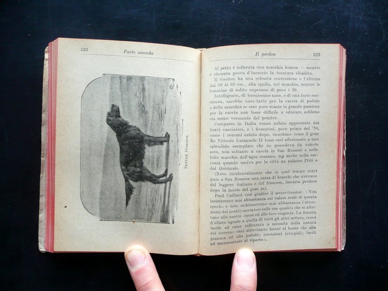 Manuale del Cacciatore Giulio Franceschi Hoepli Milano 1922 Sesta Edizione