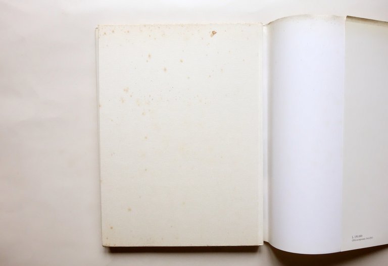 Marilena Pasquali Morandi Riflessioni sull'Opera Galleria Braga Piacenza 1991 | Immagine Gallery 3