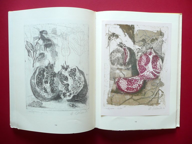 Mario Calandri Acqueforti 1937-1985 All'Insegna del Lanzello Costigliole Arte