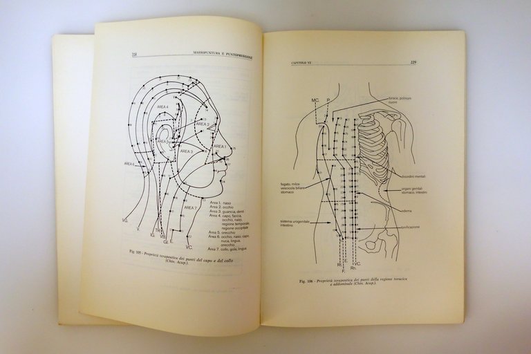 Massopuntura e Puntopressione Micromassaggio Lanza Ed. Subalpina Torino 1979