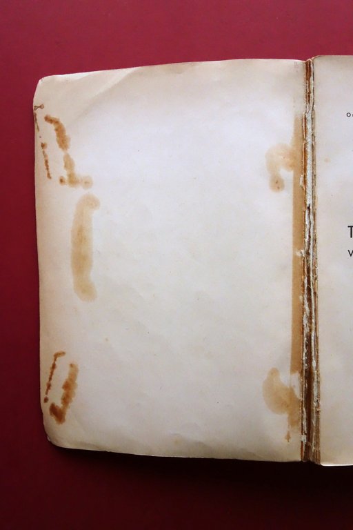 Meccanica Termodinamica Antonio Rostagni Libreria Randi Padova 1957