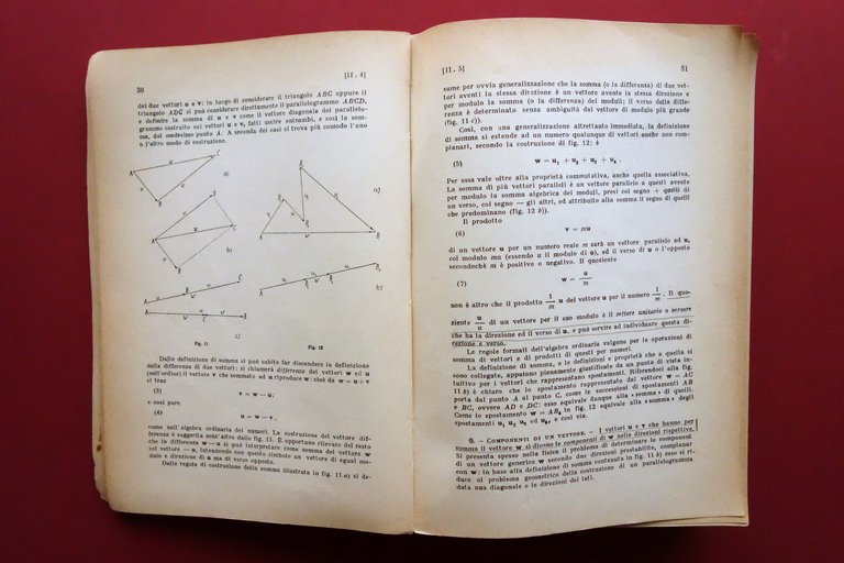 Meccanica Termodinamica Antonio Rostagni Libreria Randi Padova 1957